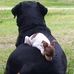 Profile Picture of Roxanne Schultz (@roxanne.schultz.71) on Facebook