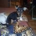 Profile Picture of Giuseppe Visone (@giuseppe.visone.359) on Facebook