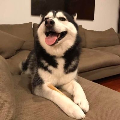 Profile Picture of Jake Z Hao (@JakeZHao15) on Twitter