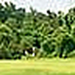 Profile Picture of Brad  Mcdonald (@bmac1981) on Flickr