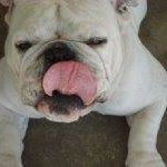 Profile Picture of Jeanie Cusing (@jeaniecusing) on Poshmark