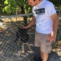 Profile Picture of Zack Erickson (@zacharyerickson1913) on Pinterest