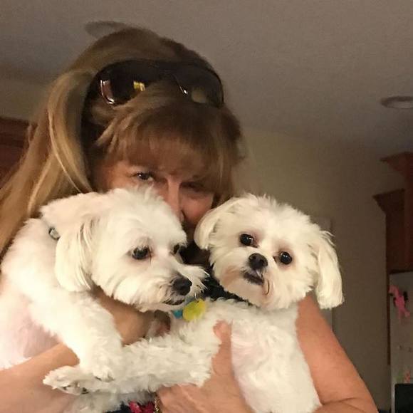 Profile Picture of Noreen Glaski (@nbag63) on Poshmark