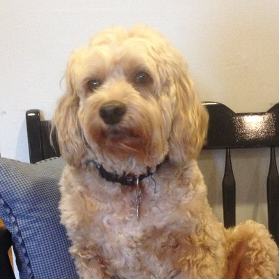 Profile Picture of Ronald Rudnick (@RonLighthouse) on Twitter