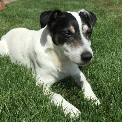 Profile Picture of Caroline Roberts 🤖 (@CarolineR64) on Twitter