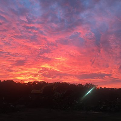 Profile Picture of Matt Remick (@mattremick) on Twitter