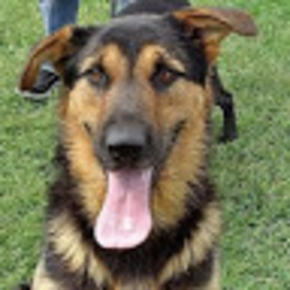 Profile Picture of Armand Boisseron-kamp (@armandboisseron) on Poshmark