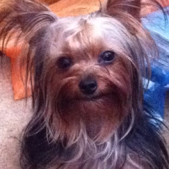 Profile Picture of Sharon Sharon (@sparkle35614) on Poshmark