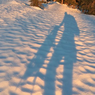 Profile Picture of Dan Lesh (@griles) on Twitter