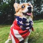 Profile Picture of Jerry B Grinder (@jcrews0147) on Instagram