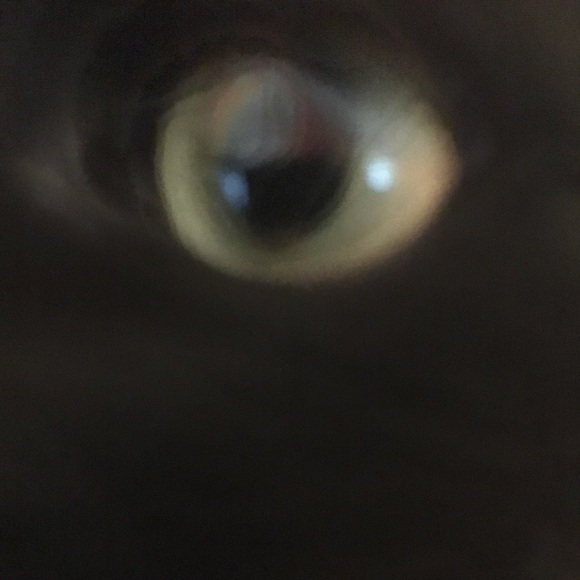 Profile Picture of Emily Andrews (@em662a) on Poshmark