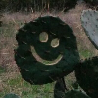 Profile Picture of Keith Kirk (@KeithKirk11) on Twitter