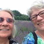 Profile Picture of Marlene Clark (@marleneclark5958) on Instagram