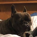 Profile Picture of David Burchett (@davidburchett2004) on Instagram