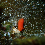 Profile Picture of Charlotte Matthews (@char.matthews6) on Flickr