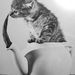 Profile Picture of rawan hassan (@rawanhassan) on Pinterest