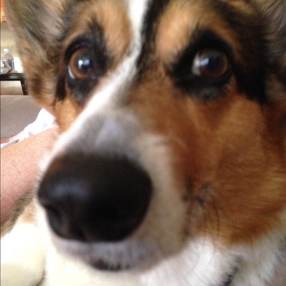 Profile Picture of Emily Crooker (@ejcgypsy) on Poshmark