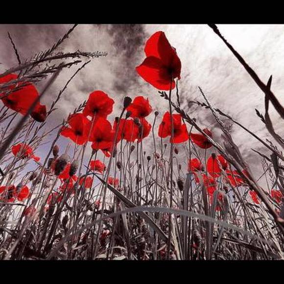 Profile Picture of Crystal Fehrman (@chris_1521) on Poshmark