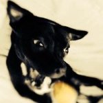 Profile Picture of Fabien Meyer (@ichebine) on Instagram