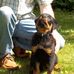 Profile Picture of Pete Tetreault (@pete.tetreault.9) on Facebook