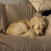 Profile Picture of Declan Moore (@declanmoore4122) on Youtube