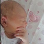 Profile Picture of Alice Meyer (@nortyscreations) on Instagram