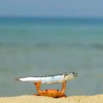 Profile Picture of Cristal Vivar (@cristal.vivar.90) on Facebook