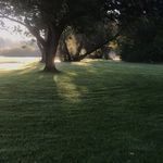 Profile Picture of anne griffith-jones (@anne.gjones) on Instagram