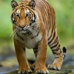 Profile Picture of Brad Fisher (@Brad-Fisher) on Facebook