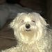 Profile Picture of Keri Trace (@ktrace) on Pinterest