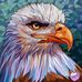Profile Picture of Daniel Lillie (@daniel.lillie.90) on Facebook