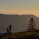 Profile Picture of James Barnes (@jamesbarnes01) on Instagram