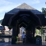 Profile Picture of Daphne Chung (@daphnelinyi) on Instagram