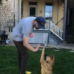 Profile Picture of Patrick Pavilonis (@patpavs) on Instagram