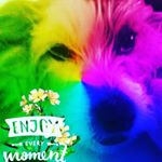 Profile Picture of Samantha Mazurick (@bright_moon101) on Instagram