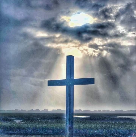 Profile Picture of Renee Graham (@reneeg1) on Poshmark