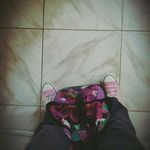 Profile Picture of yaniris collado (@colladoyaniris) on Instagram