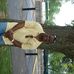Profile Picture of Timothy Combs (@timothy.combs.71) on Facebook