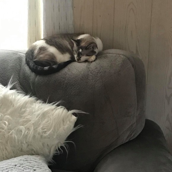 Profile Picture of Heather Dippel (@wothomas10) on Poshmark