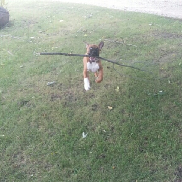 Jody Bearbower - Poshmark Profile Picture of Jody Bearbower (@jodykay81) on Poshmark