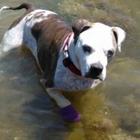 Profile Picture of Gilbert Rosenbrier (@gilbert-rosenbrier) on Quora