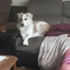 Profile Picture of Kim Hawk (@@kimhawk1969) on Tiktok