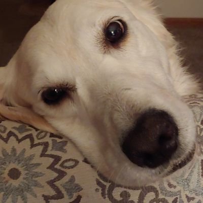 Profile Picture of Pat Rathburn (@RathburnPat) on Twitter