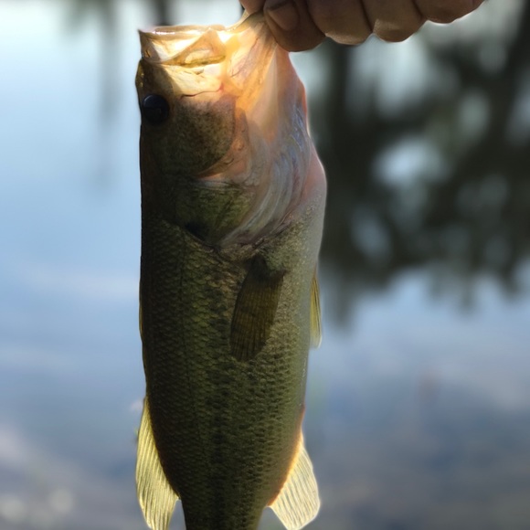 Profile Picture of John Harrold (@harrold14) on Poshmark