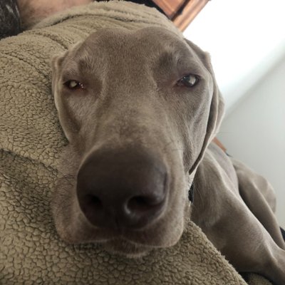Profile Picture of Cynthia Corriveau (@Cynthiacorrive1) on Twitter