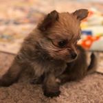 Profile Picture of Hank Markducas (@hankmarkducas) on Instagram