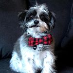 Profile Picture of Wilfred Hansel Cunningham (@6215wilfred) on Instagram