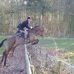 Profile Picture of Richard Beaman (@richbeaman) on Instagram