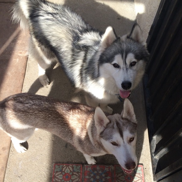 Profile Picture of Julio Garcia (@juliogee) on Poshmark