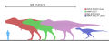 Profile Picture of Specimens of Tyrannosauruson Wikipedia